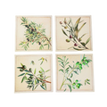 Coasters x 4 - Square Olives Gloss