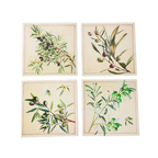 Coasters x 4 - Square Olives Gloss