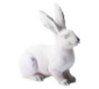 Rabbit Medium Resin 21cm - Oct 26