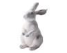 Rabbit Medium Resin 24cm - Oct 26