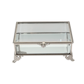Glass Jewellery box Silver with Clear Glass (6.7 x 15.5 x 10 cm)