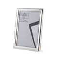 Silver Picture Frame v3 4"x 6"