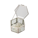 Glass Jewellery box Silver Hex with Clear Glass (7 x 12 x 10.5cm)